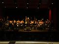 Skivslapps_konsert_2008_06